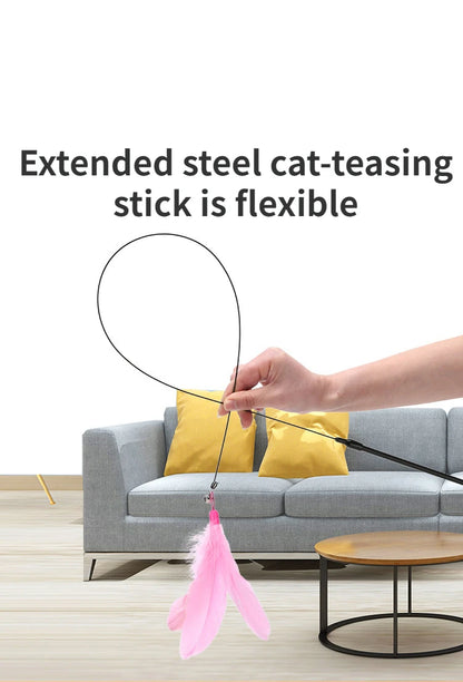 Cat Teaser Stick with Feather