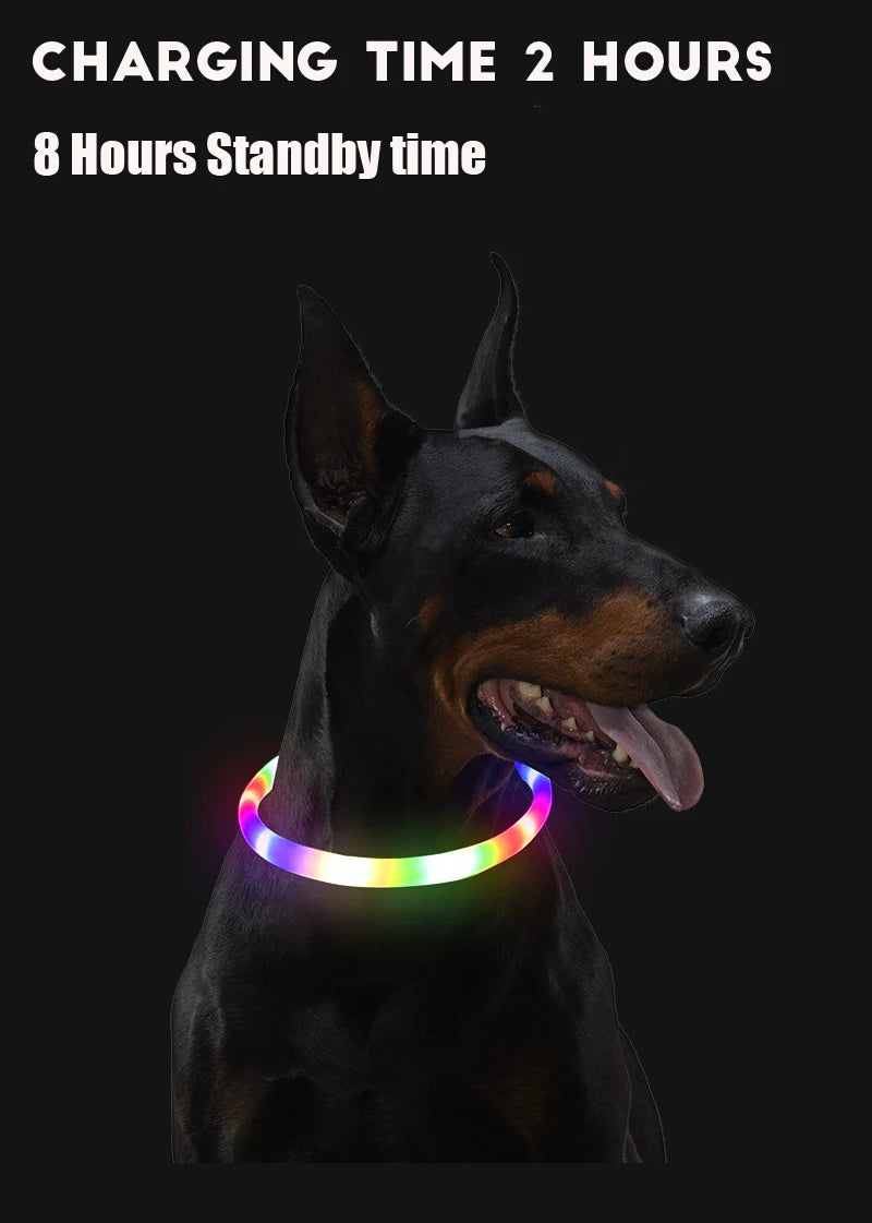 LED Light Dog Collar with USB Connected