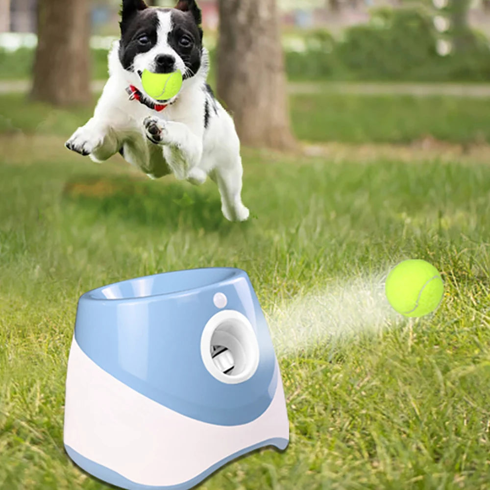 Automatic Dog Ball Launcher