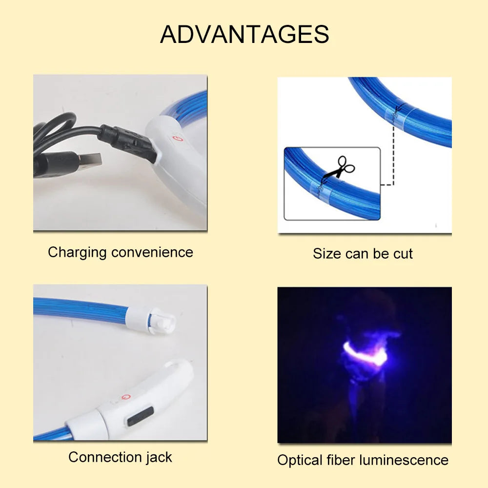 LED Light Dog Collar with USB Connected