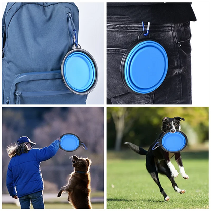 Folding Silicone Dog Bowl with Carabiner