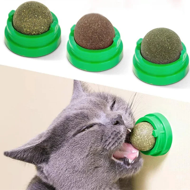 Natural Catnip Scratching Post & Toy