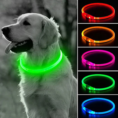 LED Light Dog Collar with USB Connected