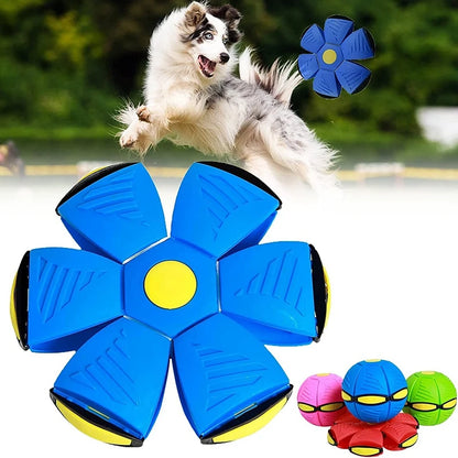 Magic Flying Saucer Toy For Pets