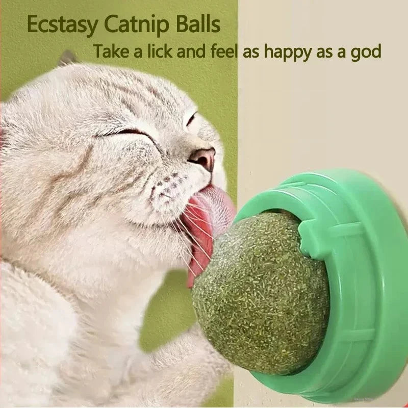 Natural Catnip Scratching Post & Toy