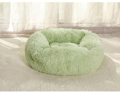 Rectangle Plush Dog Bed