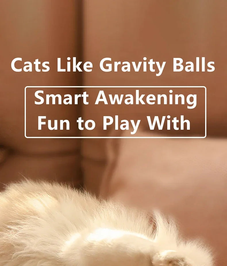 USB Charging Interactive Cat Ball Toy