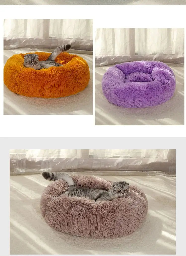 Rectangle Plush Dog Bed