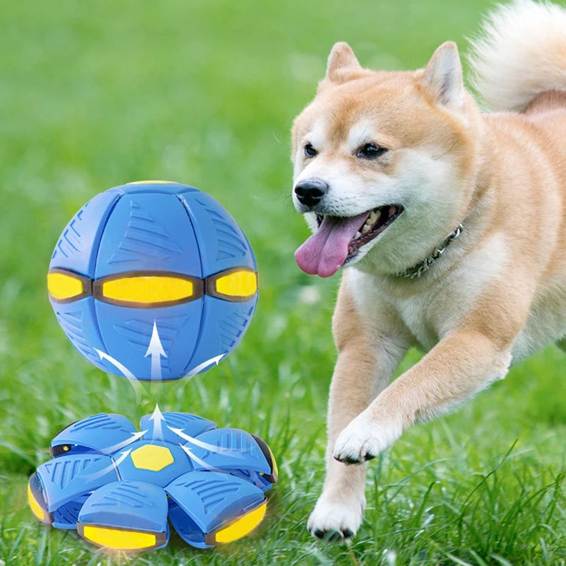 Magic Flying Saucer Toy For Pets