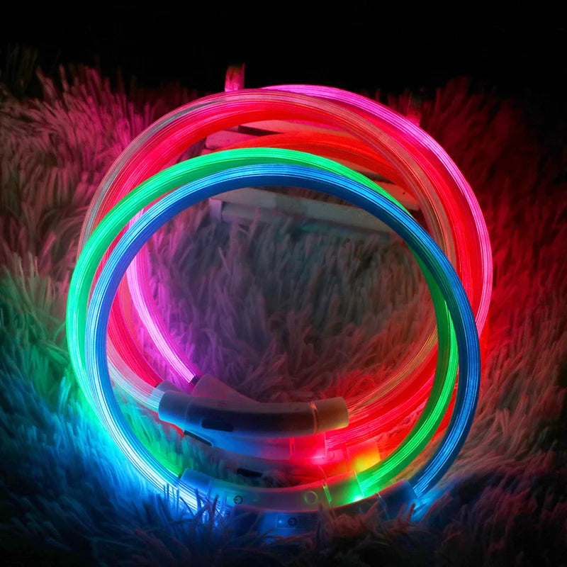 LED Light Dog Collar with USB Connected