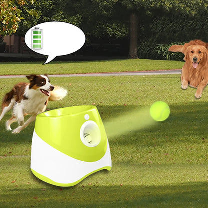 Automatic Dog Ball Launcher