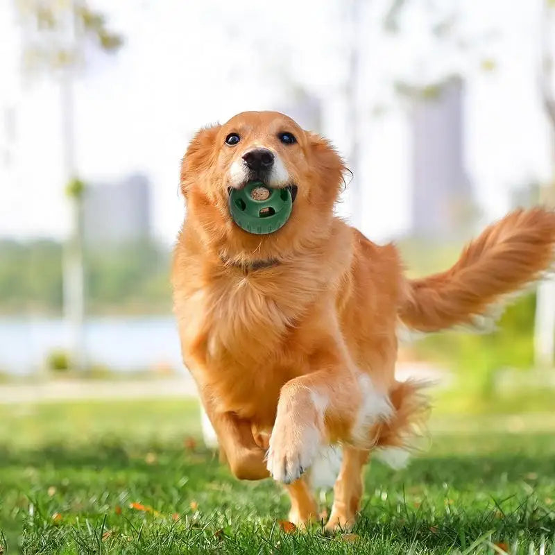 Refillable Dog Food Toy