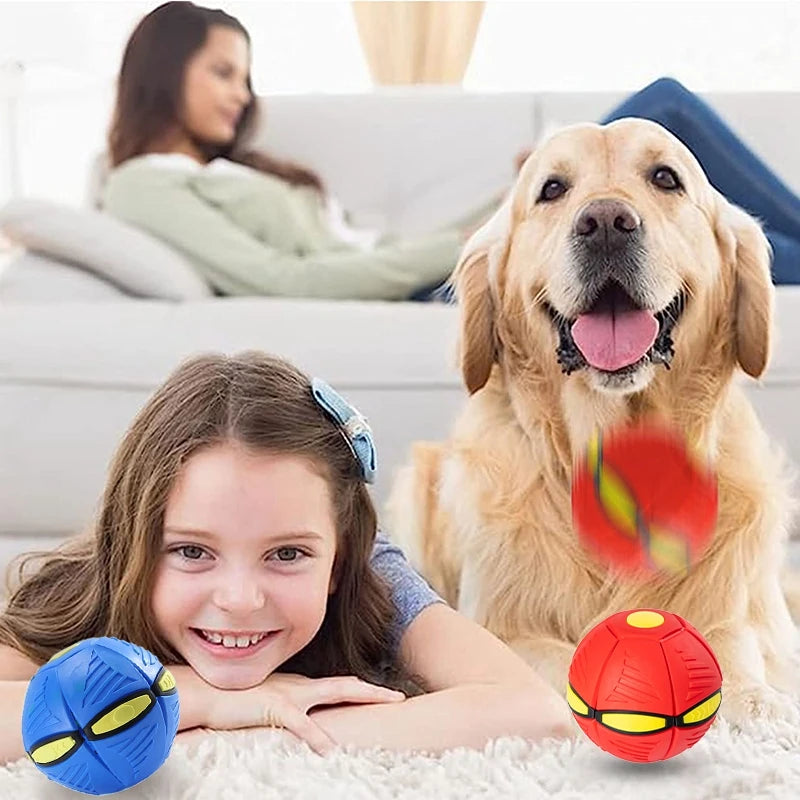 Magic Flying Saucer Toy For Pets