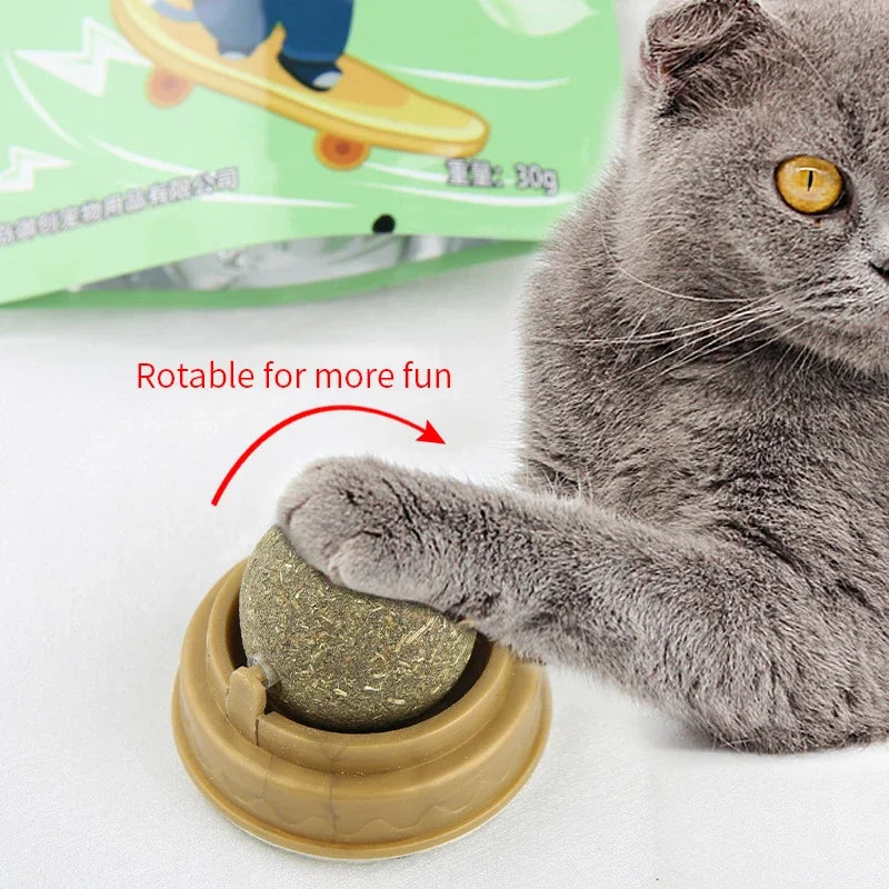 Natural Catnip Scratching Post & Toy