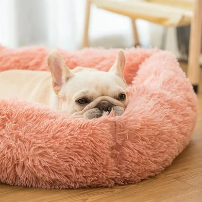 Rectangle Plush Dog Bed