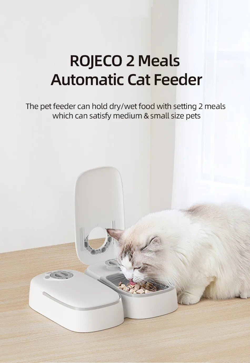 2 Meals Automatic Pet Feeder | Smart Cat Food Dispenser