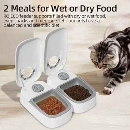 2 Meals Automatic Pet Feeder | Smart Cat Food Dispenser