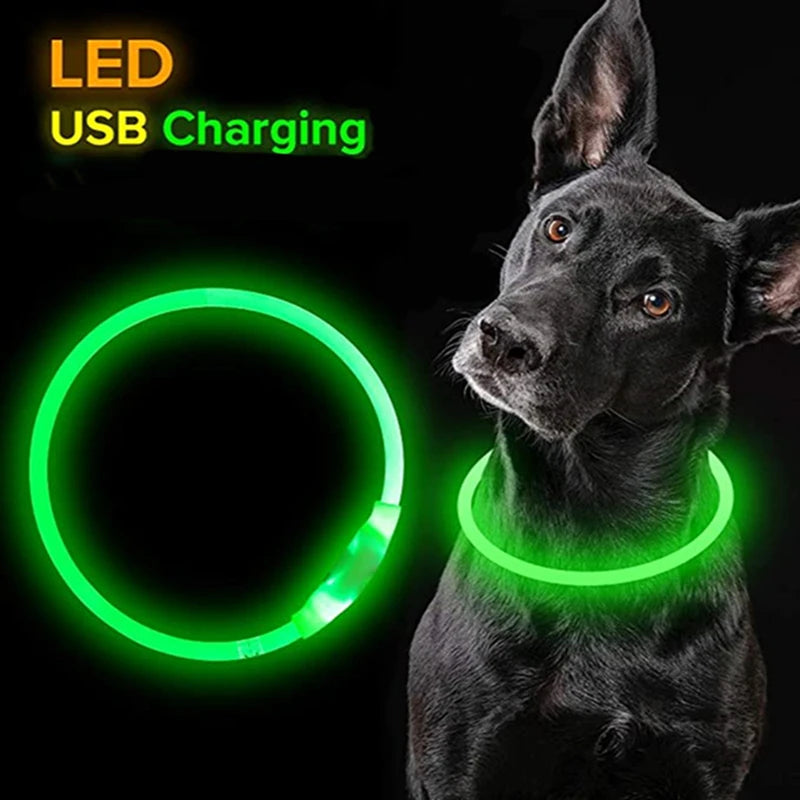 LED Light Dog Collar with USB Connected