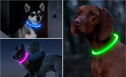 LED Light Dog Collar with USB Connected