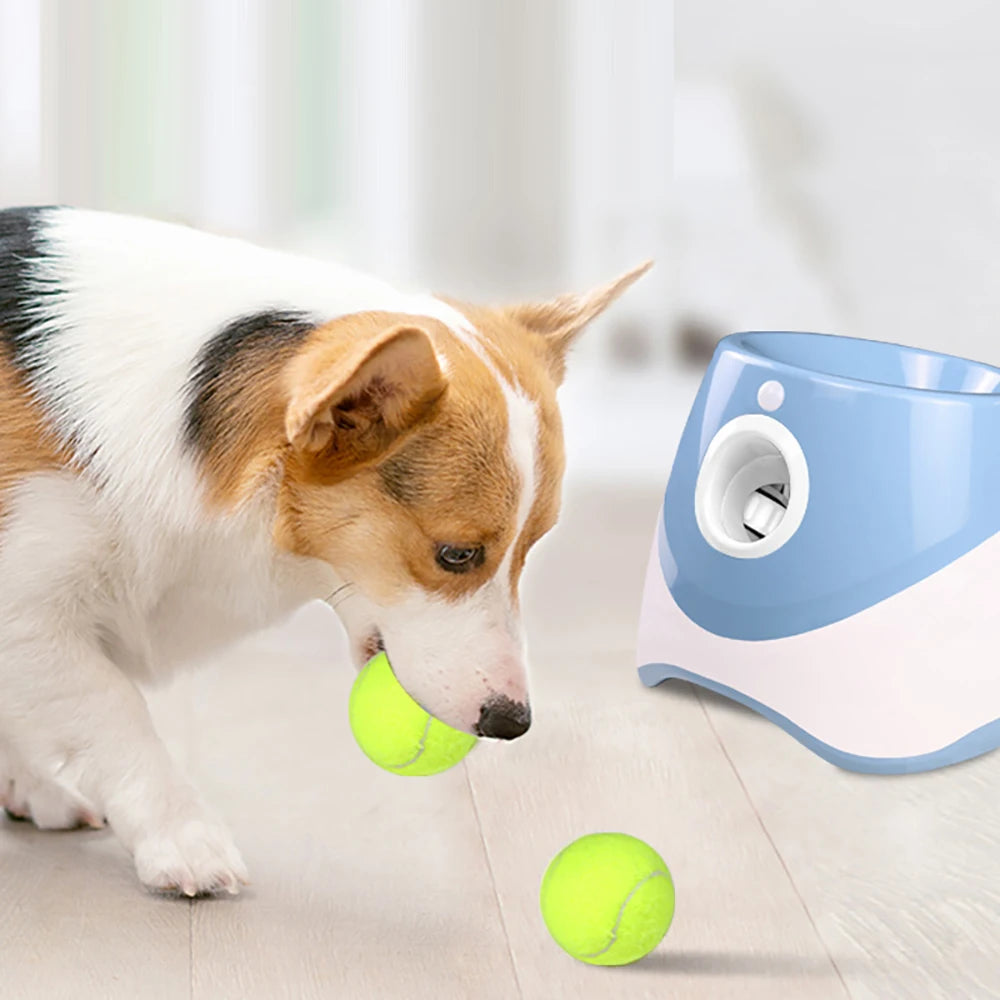 Automatic Dog Ball Launcher