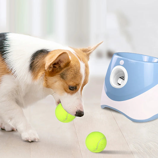 Automatic Dog Ball Launcher