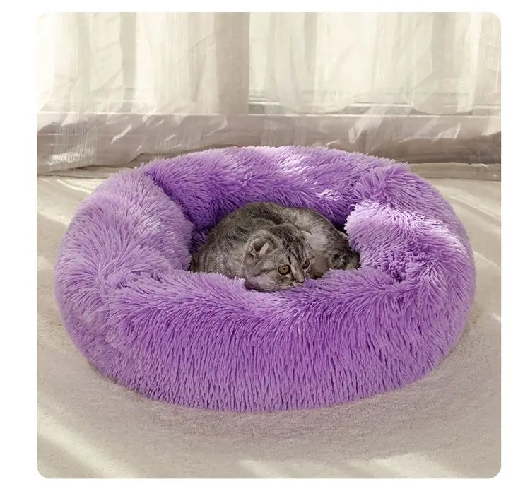 Rectangle Plush Dog Bed