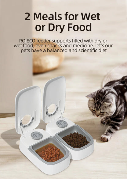 2 Meals Automatic Pet Feeder | Smart Cat Food Dispenser