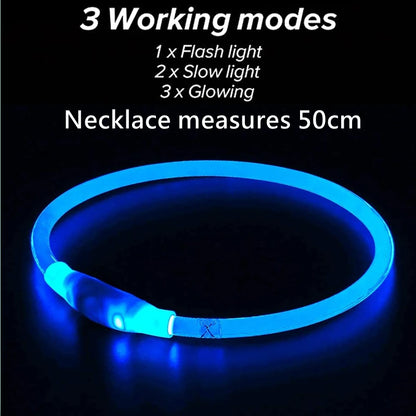 LED Light Dog Collar with USB Connected