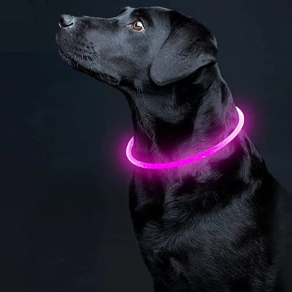 LED Light Dog Collar with USB Connected