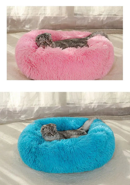 Rectangle Plush Dog Bed