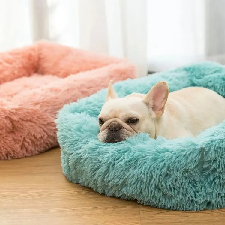 Rectangle Plush Dog Bed