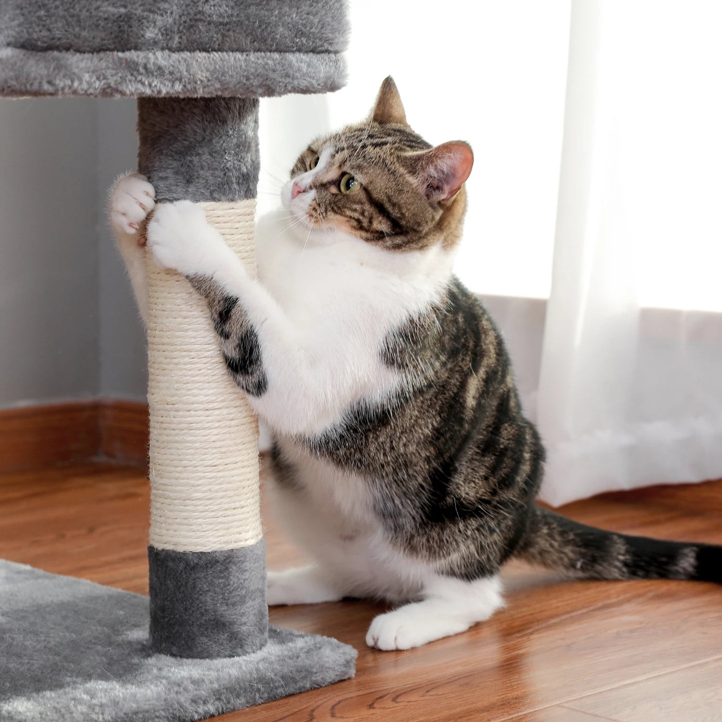 Multi-Level Cat Tree with Scratch Board