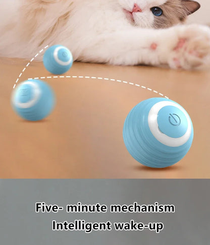 USB Charging Interactive Cat Ball Toy